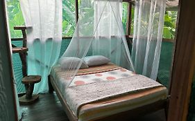 Rio Agujitas Eco Farm Hostel And Tours