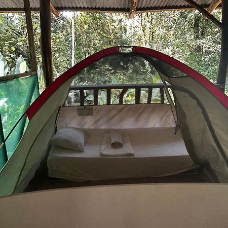 Rio Agujitas Eco Farm Hostel And Tours Drakes Bay Esterno foto