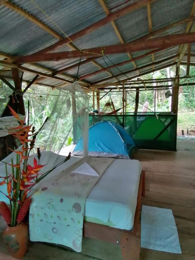 Rio Agujitas Eco Farm Hostel And Tours Drakes Bay Esterno foto