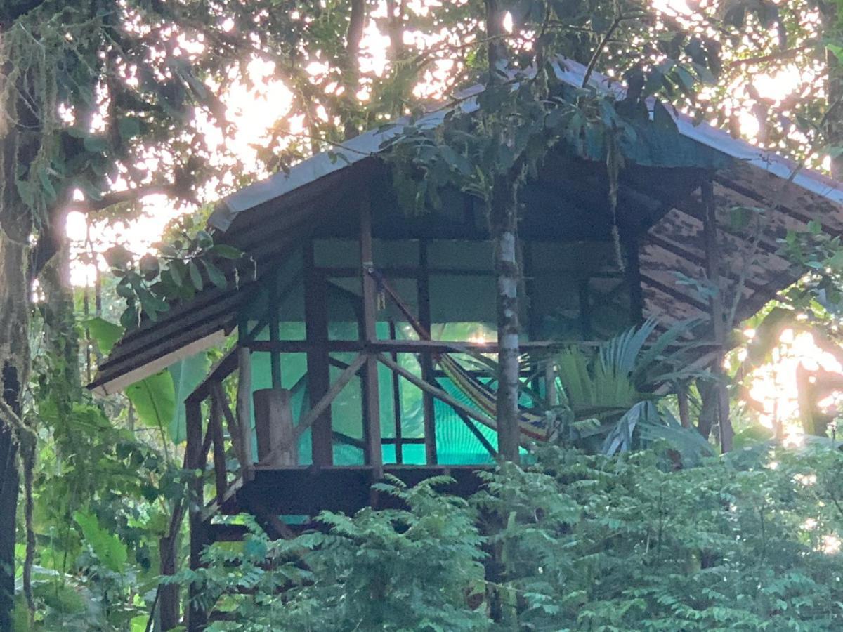 Rio Agujitas Eco Farm Hostel And Tours Drakes Bay Esterno foto