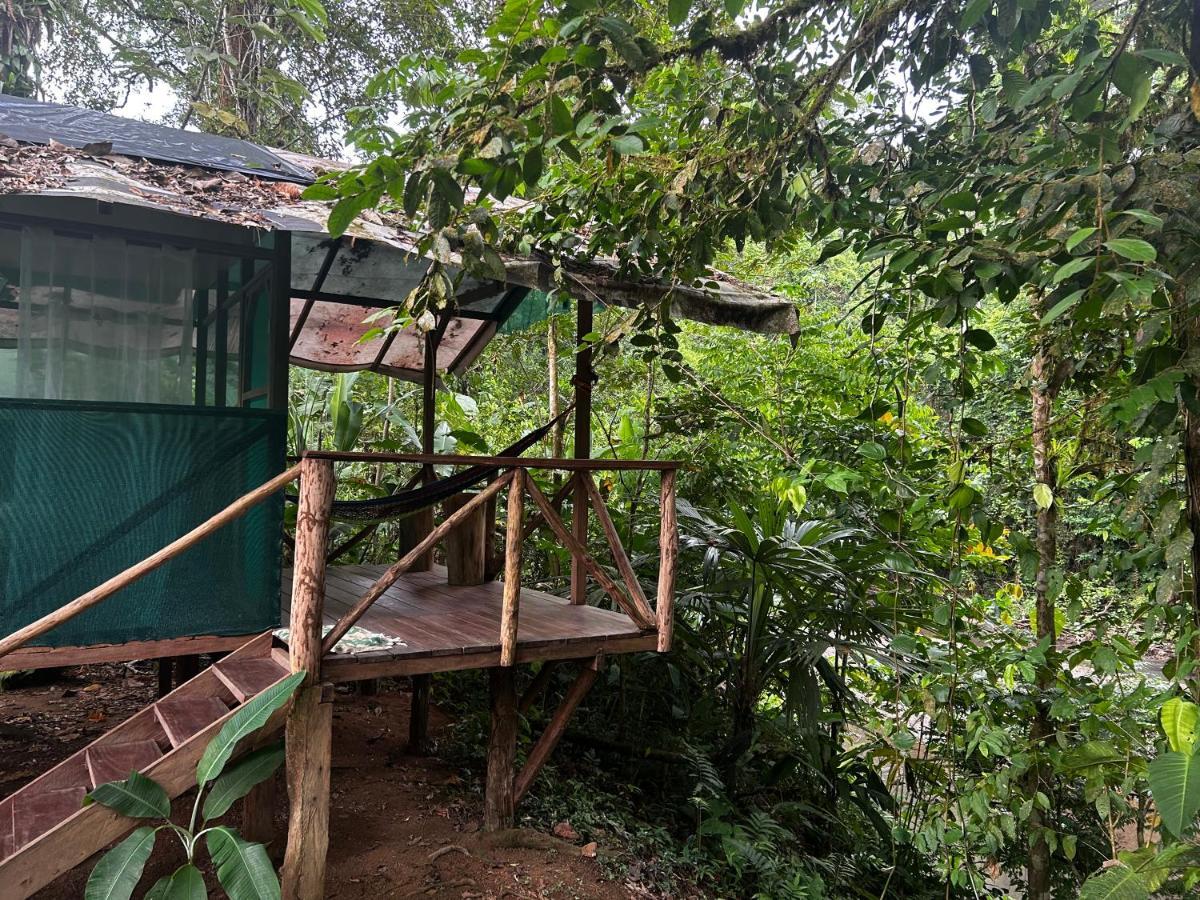 Rio Agujitas Eco Farm Hostel And Tours Drakes Bay Esterno foto