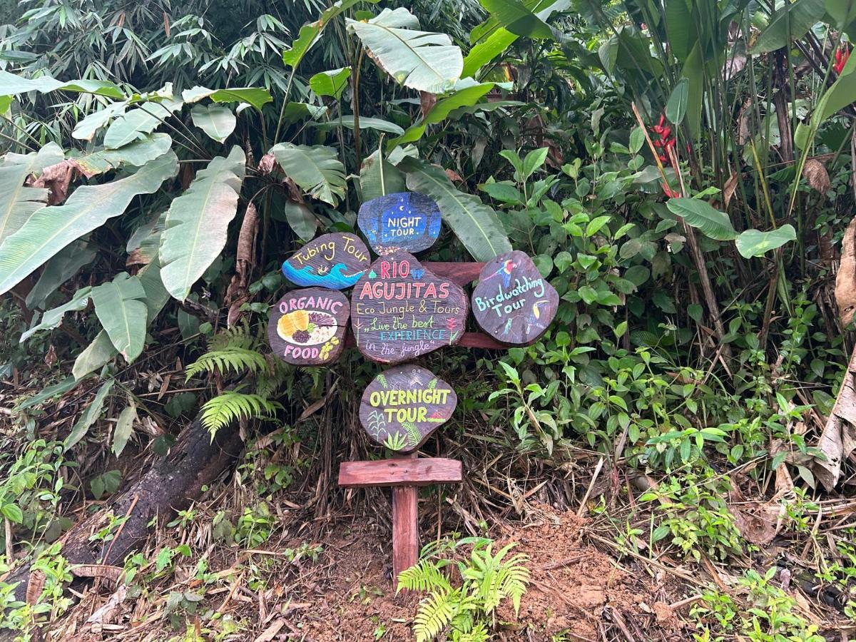Rio Agujitas Eco Farm Hostel And Tours Drakes Bay Esterno foto