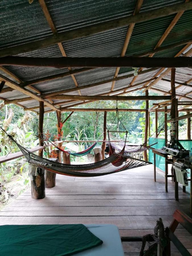Rio Agujitas Eco Farm Hostel And Tours Drakes Bay Esterno foto