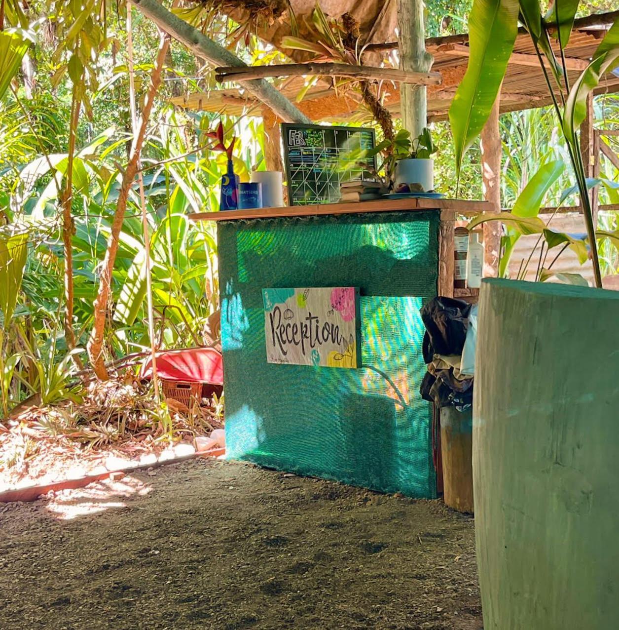Rio Agujitas Eco Farm Hostel And Tours Drakes Bay Esterno foto