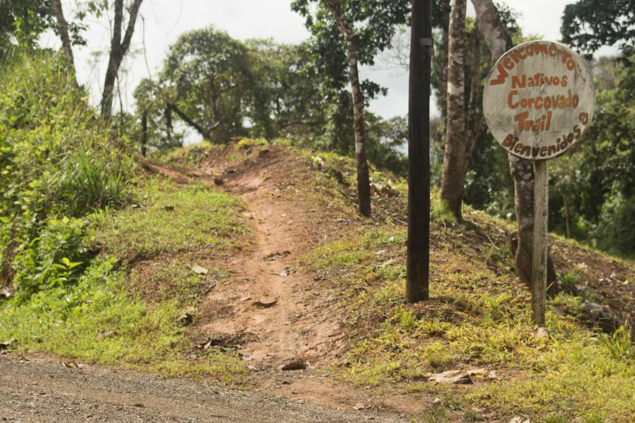 Rio Agujitas Eco Farm Hostel And Tours Drakes Bay Esterno foto