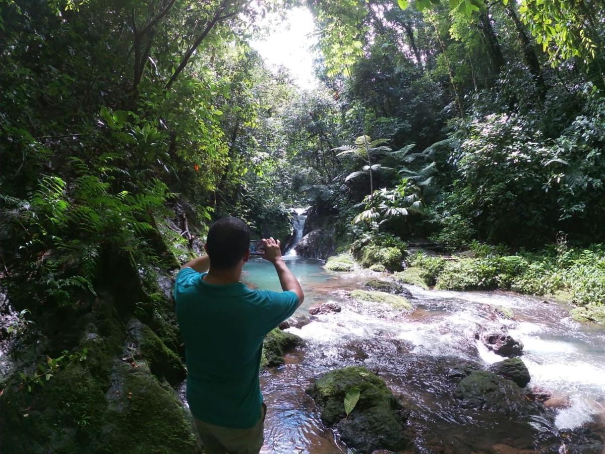 Rio Agujitas Eco Farm Hostel And Tours Drakes Bay Esterno foto
