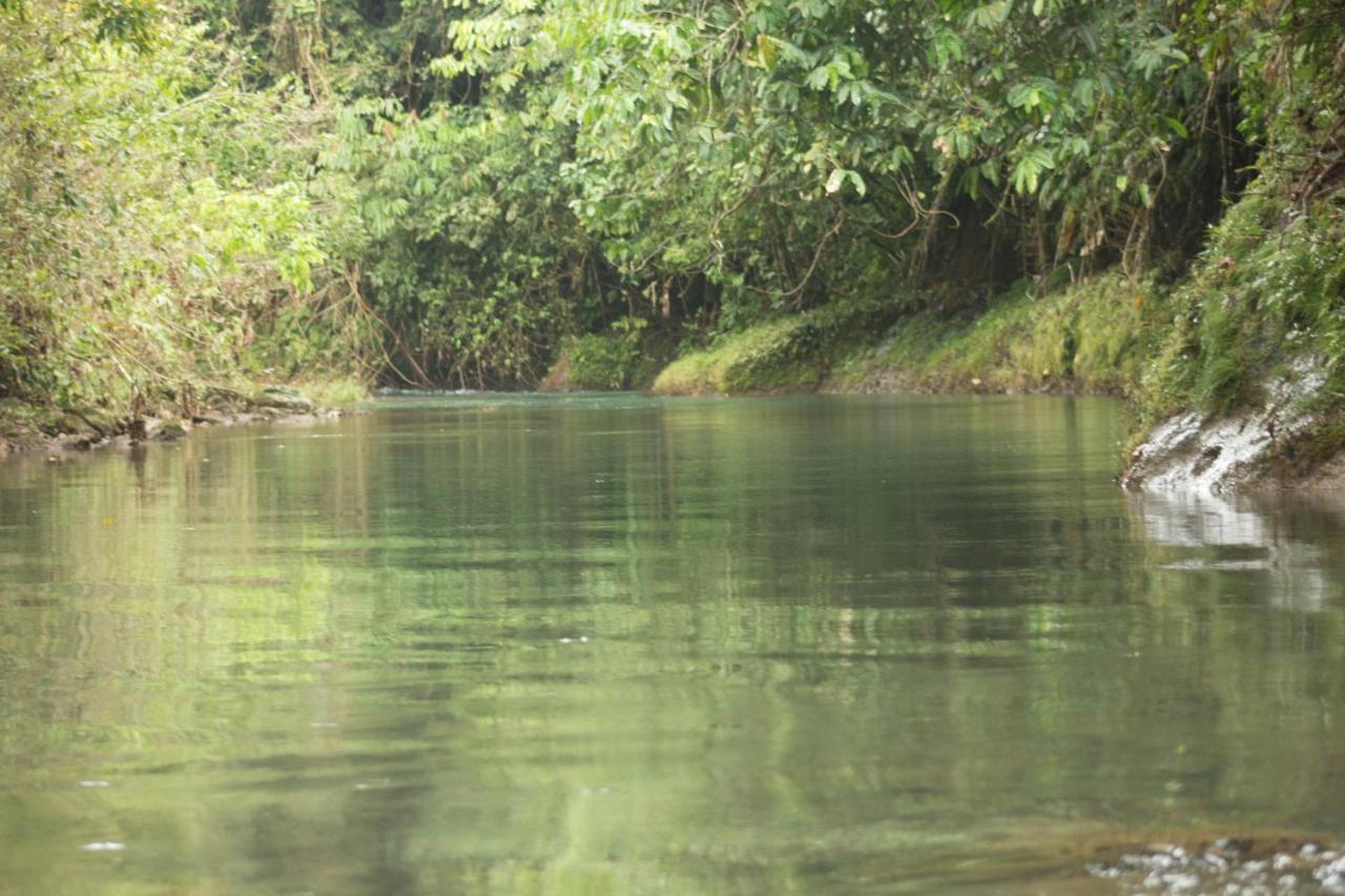 Rio Agujitas Eco Farm Hostel And Tours Drakes Bay Esterno foto